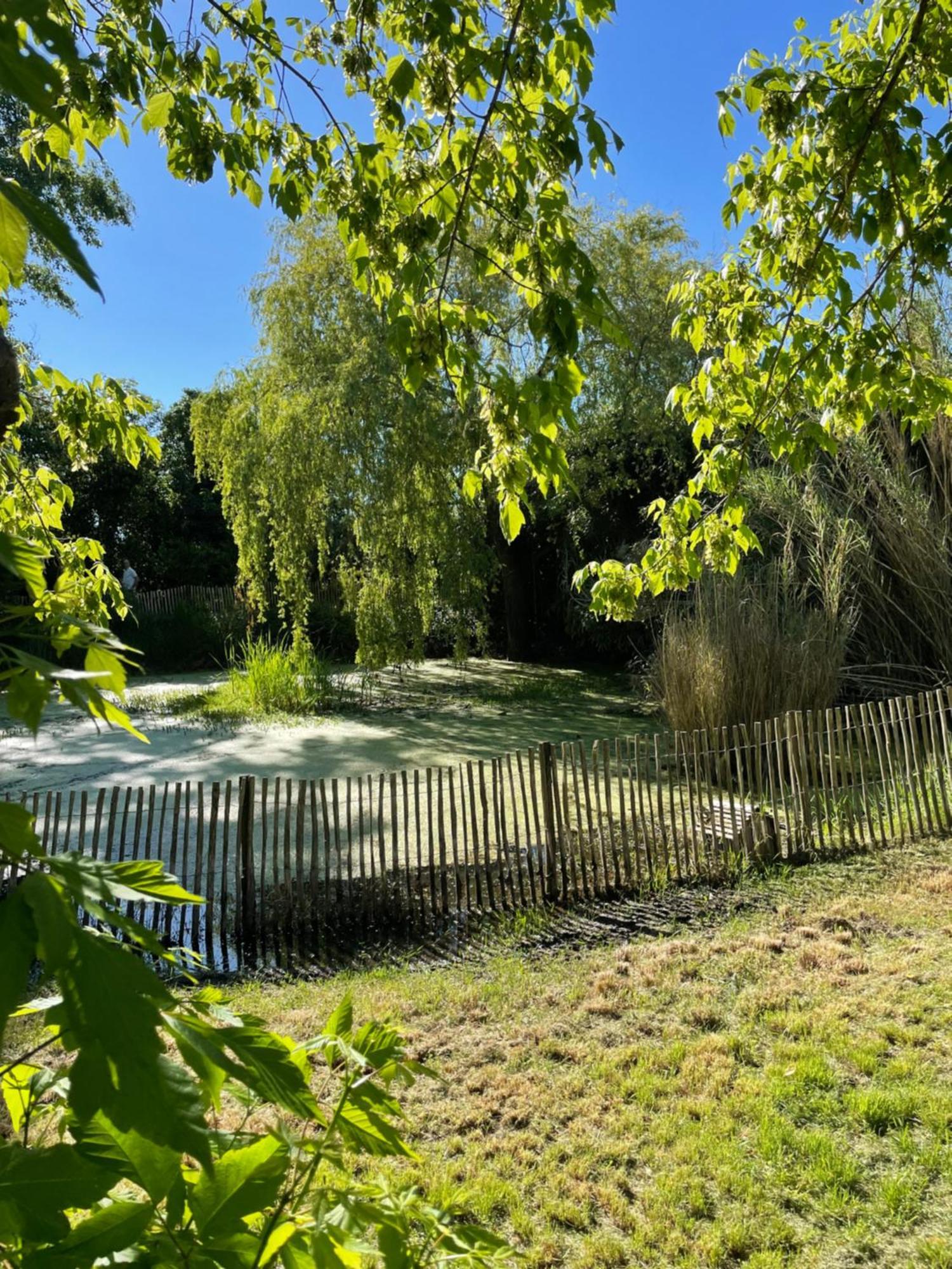 לינה וארוחת בוקר Saint-Vivien-de-Médoc Instant Zen מראה חיצוני תמונה